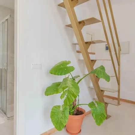 Penthouse With Private Rooftop - Center By Rems Apartment *